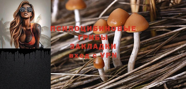 индика Алексеевка