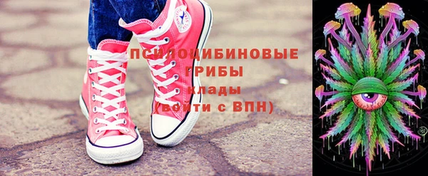 дурь Алексин