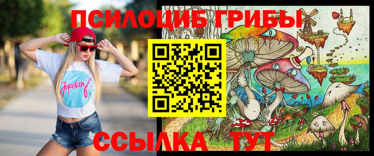 Псилоцибиновые грибы прущие грибы Гурьевск