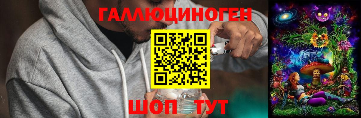 Гурьевск  Галлюциногенные грибы Psilocybine cubensis  Вход с VPN 