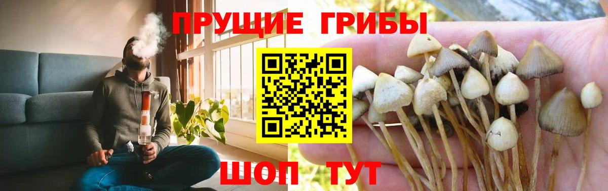 МЕФ   Канабис  ГАШ  Гурьевск  Меф  Вход с VPN  COCAIN 